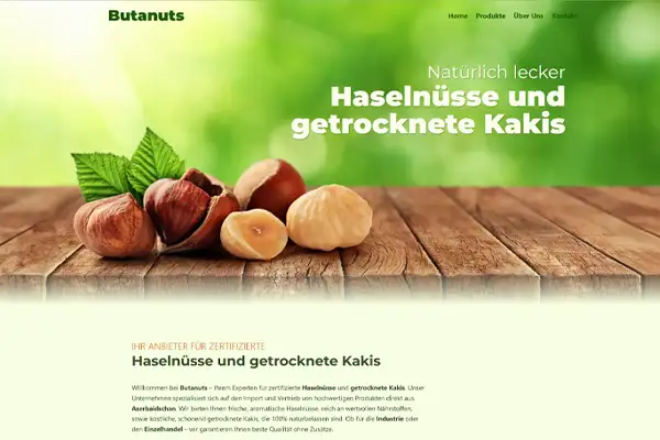 Portfolio Webdesign